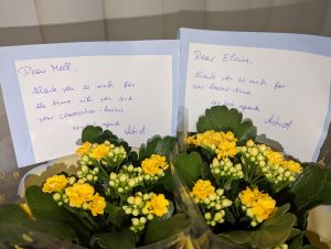 English school Malta teachers excellent feedback Gateway School of English GSE resized